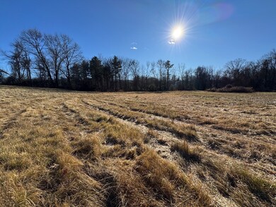 8 Walker Rd, North Brookfield, MA 01535 - photo 4