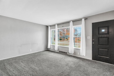 2592 Lynch Ave, Granite City, IL 62040 - photo 5