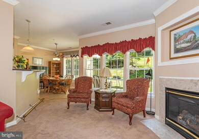 1009 Samantha Ln unit 102, Odenton, MD 21113 - photo 4