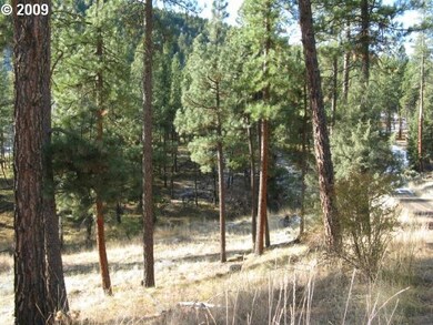 0 Eagle Rock unit 9088562, Canyon City, OR 97820 - photo 7