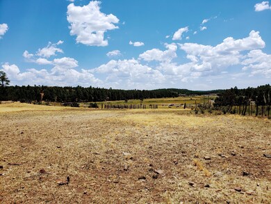 1700 E Owens, Show Low, AZ 85901 - photo 5