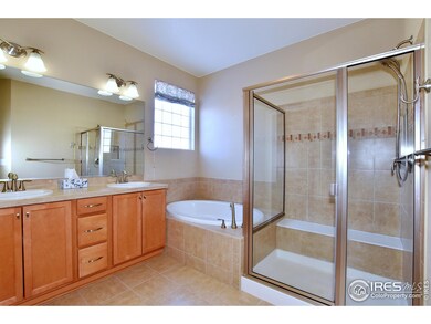 5937 Quarry St, Timnath, CO 80547 - photo 4