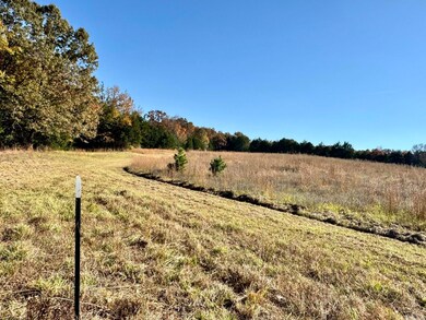 150 Holloway Ln, Greenbrier, AR 72058 - photo 6