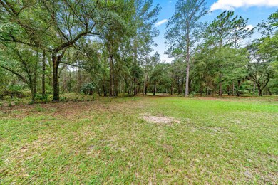 15888 NE 152nd Ave, Fort Mc Coy, FL 32134 - photo 7