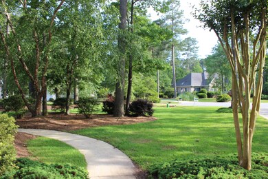 Front Yard View 2