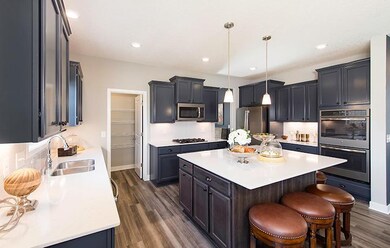 Fabulous Gourmet Kitchen boasts soft close maple c