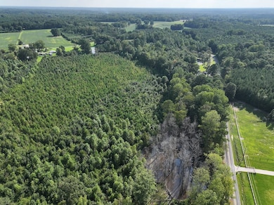 Rd unit LotWP001, Zebulon, NC 27597 - photo 6