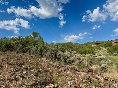 View of undeveloped land