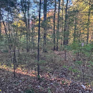 24-4,25-10 Chapman Ln, Kennebunk, ME 04043 - photo 6