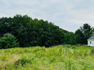 Meadow 2