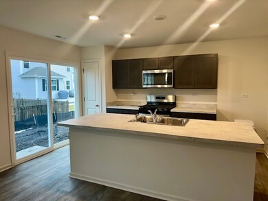 7620 Violet Ln unit 7620, Joliet, IL 60431 - photo 3