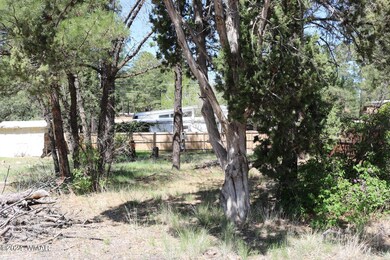 930 N 43rd Dr, Show Low, AZ 85901 - photo 2