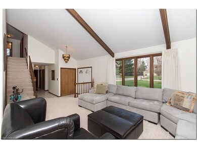 Vaulted Ceiling in Living Room adds spacious feeli