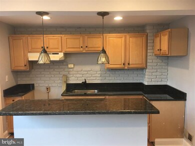 3229 Pelham Ave, Baltimore, MD 21213 - photo 5