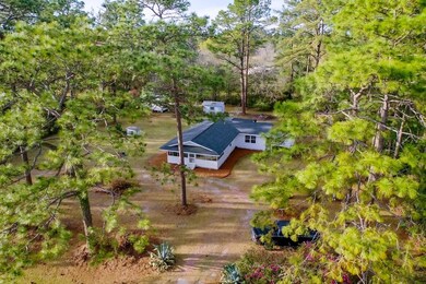 3764 Saint Johns Church Rd, Blackshear, GA 31516 - photo 6