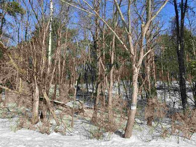 Lot 17 Pine Tree Rd, Jordan, WI 53566 - photo 2