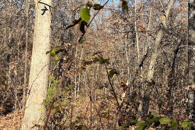 IMG_4691