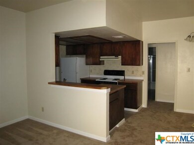 506 W San Antonio St unit 206, San Marcos, TX 78666 - photo 3