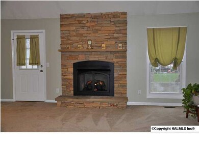 CLOSER VIEW OF THIS LOVELY STONE FIREPLACE. IT SETS THIS ROOM OFF.
