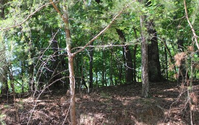 Additional View
