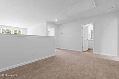 cameron loft