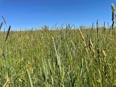 Lot 12 Road 23 5, Cortez, CO 81323 - photo 2