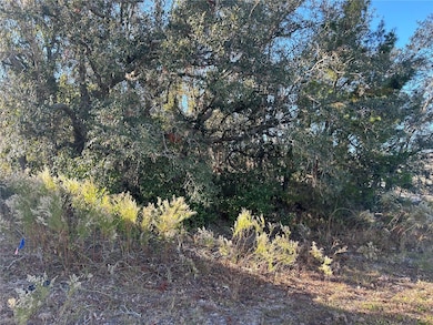 0 Amero Ln unit 13 MFRS5116270, Spring Hill, FL 34609 - photo 4