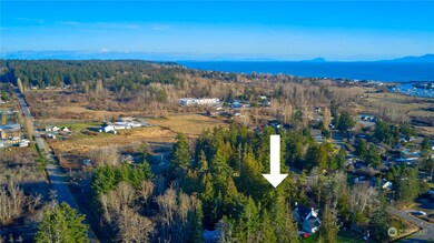 1515 Columbia Vista Dr, Point Roberts, WA 98281 - photo 3