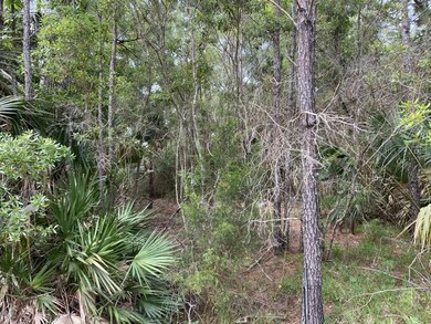 xxx Gator Trail, Other Florida, FL 32327 - photo 3