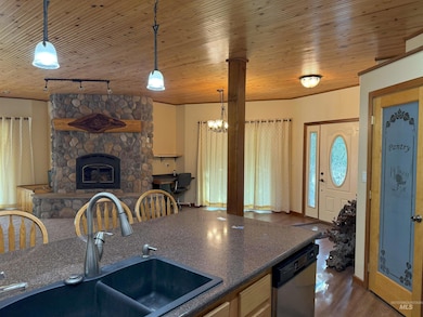 Kitchen with a stone fireplace, dishwasher, rail lighting, wood finished floors, and dark countertops