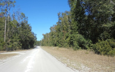 0 Suwannee Woodlands Ln, O'Brien, FL 32071 - photo 2