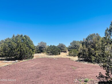1156 E Hoctor Rd Photo 2