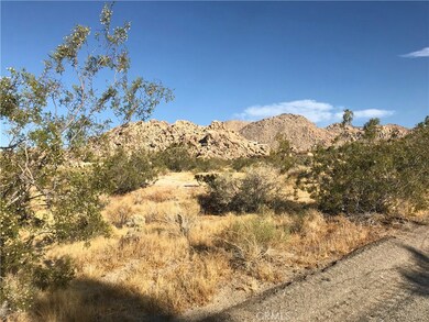 7137 Mount Lassen Ave, Joshua Tree, CA 92252 - photo 4