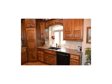 Walk in pantry, granite counters and custom back s