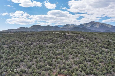 DJI_0111