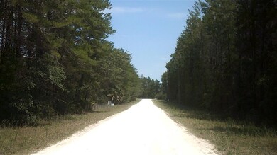 0 Sea Horse Dr 2nd unit 1 292596, Perry, FL 32348 - photo 4