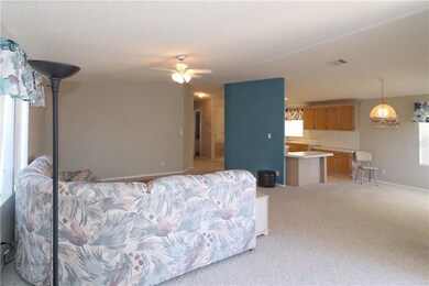 119 E Saint Johns Way, Apollo Beach, FL 33572 - photo 6