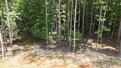 3288 Runner Stone Ln, Franklinton, NC 27525 - photo 3