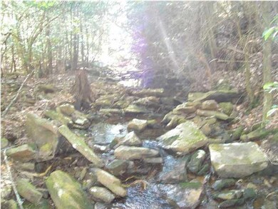 55 0 Beaten Path 2
