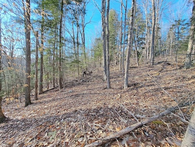 Lot 9 Judges Rd, Thornton, NH 03223 - photo 2