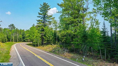 TBD-Parcel A Vermilion Dr, Cook, MN 55723 - photo 6