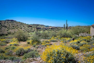 15609 E Palatial Lot 10