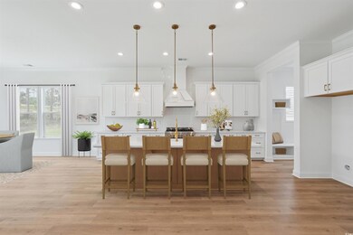 Virtually Staged Kitchen of Saltmeadow with different design features.