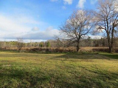 Yard/Garden. Back Yard