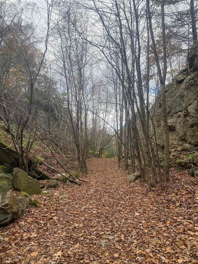 0 Colony Mine unit 4898845, Alstead, NH 03602 - photo 7