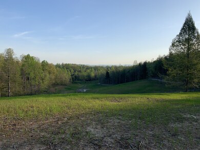 122 Mercy Ln, Cookeville, TN 38506 - photo 3