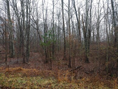 Mountain Laurel Ln 7 .png