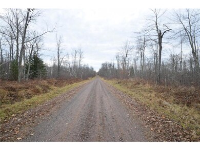 0 Cummings Rd, Dairyland, WI 54830 - photo 3