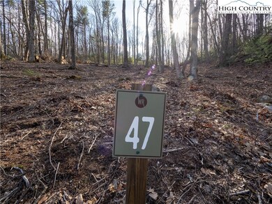 Lot 47 Wildcat Wilderness Pkwy, Deep Gap, NC 28618 - photo 4