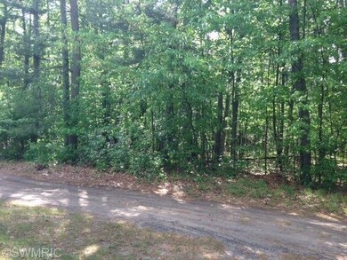 1867 W Lazy Turkey Trail, Baldwin, MI 49304 - photo 2